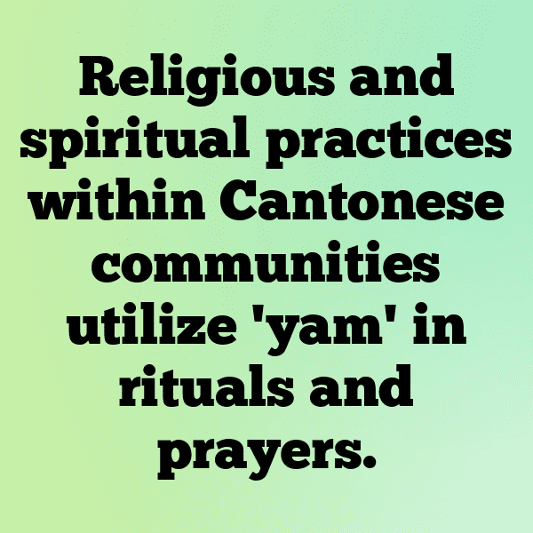 304+ Yam Captions For Instagram (Fresh & Trendy) 18 Yam Captions Image For Instagram-3l0YeD