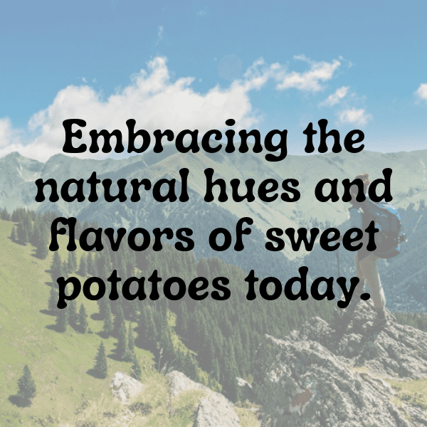 304+ Yam Captions For Instagram (Fresh & Trendy) 9 Yam Captions Image For Instagram-PQbY4C