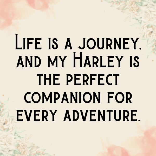 219+ Yamaha YZF-R1 Captions for Instagram In 2025 4 Yamaha YZF-R1 Captions Photo for Instagram-W7MMdR