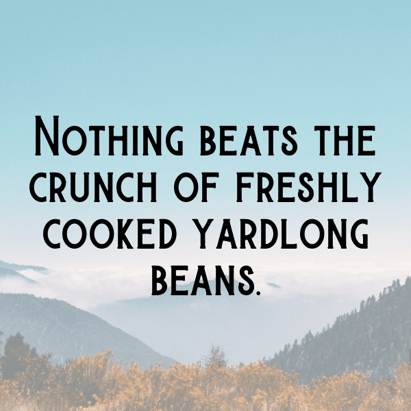 239+ Yardlong Bean Captions For Instagram (Fresh & Trendy) 9 Yardlong Bean Captions Image For Instagram-GDcNSo