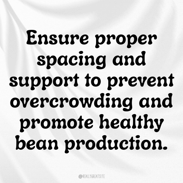 239+ Yardlong Bean Captions For Instagram (Fresh & Trendy) 10 Yardlong Bean Captions Image For Instagram-vZ1eKd