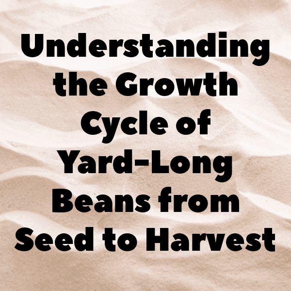 239+ Yardlong Bean Captions For Instagram (Fresh & Trendy) 12 Yardlong Bean Captions Photo For Instagram-aoEUTR