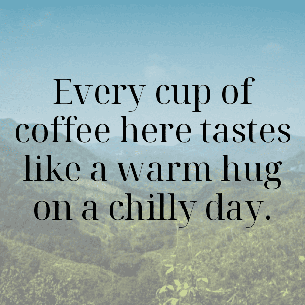 239+ Yardlong Bean Captions For Instagram (Fresh & Trendy) 3 Yardlong Bean Captions Photo For Instagram-yLIHu9