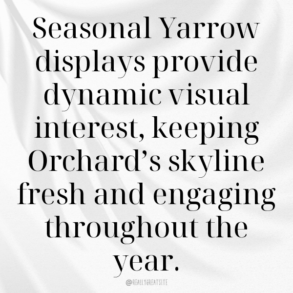 336+ Yarrow Captions For Instagram (Trending, Funny & Top) 6 Yarrow Captions Photo For Instagram-J9YF55