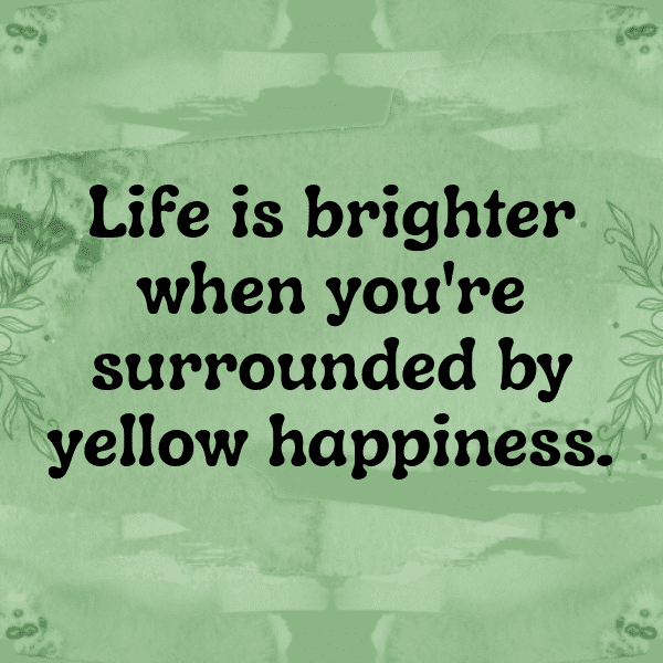 Yellow Beet Captions Image For Instagram-74UTUc