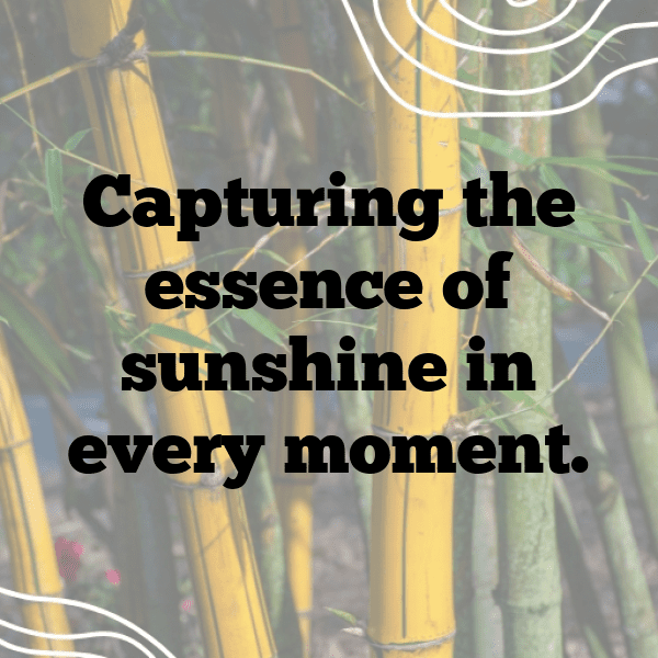 Yellow Beet Captions Photo For Instagram-IAL7ez