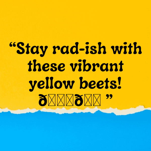 Yellow Beet Captions Photo For Instagram-yEesCm