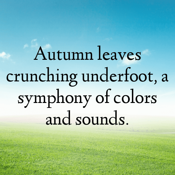 Yellow Squash Captions Image For Instagram-YTGPGS