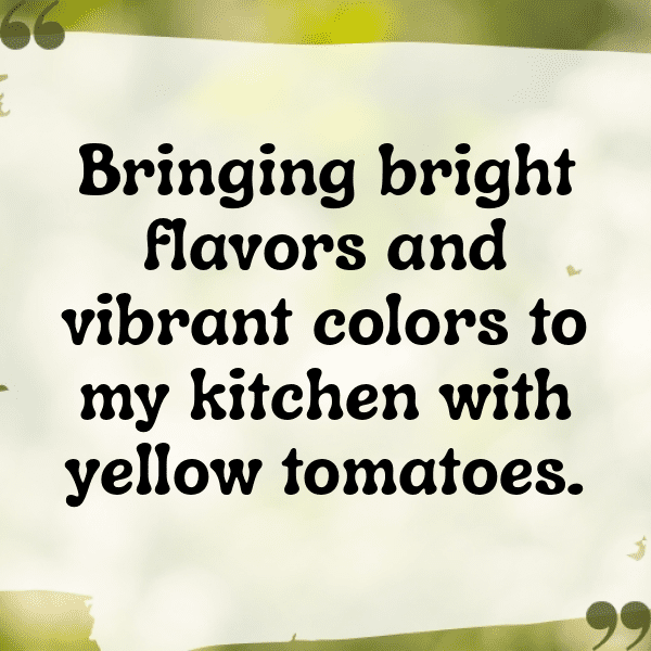 Yellow Tomato Captions Image For Instagram-iYNzKT