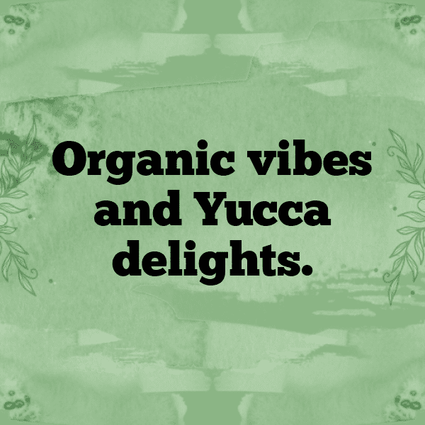 Yucca Captions Image For Instagram-qaGxIA