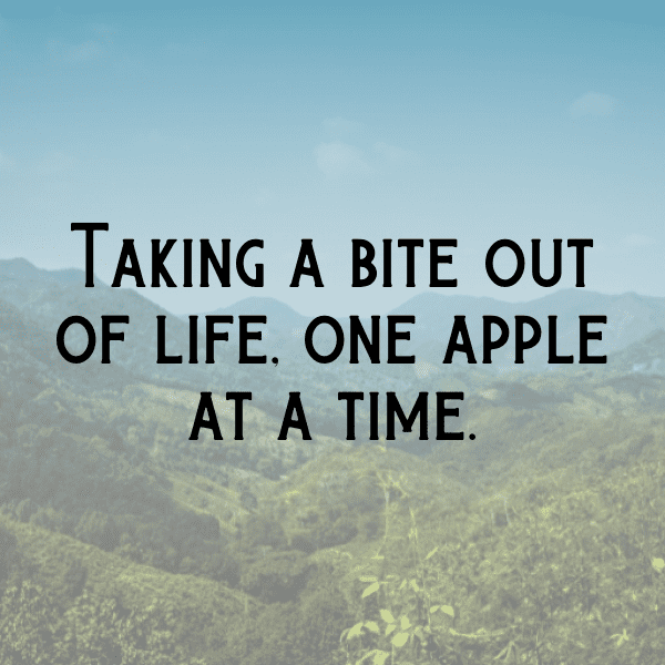 Zabergau Apple Captions Photo For Instagram-dymDNU