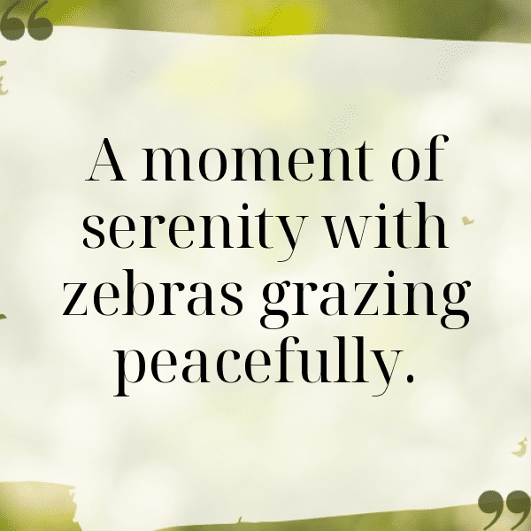 Zebra Captions Image For Instagram-eMtQQ4