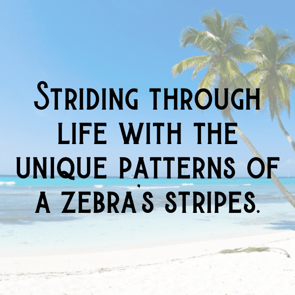 Zebra Captions Photo For Instagram-G3uu8T