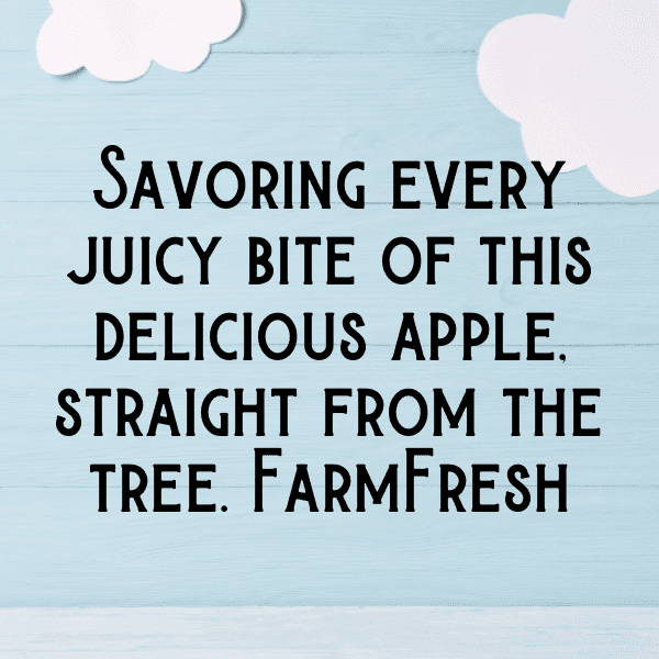 Zestar Apple Captions Image For Instagram-y8W0q5