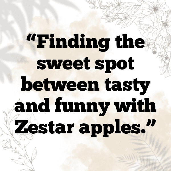 Zestar Apple Captions Photo For Instagram-rF9luA