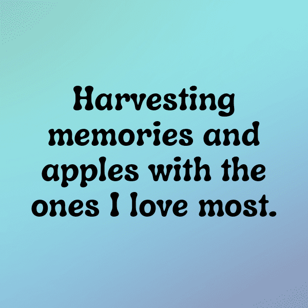 Zestar Apple Captions Photo For Instagram-WDxqFZ