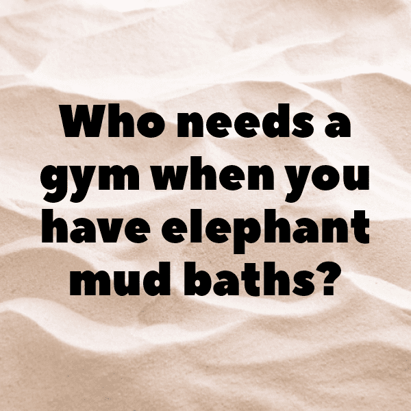 Zimbabwe Captions Photo For Instagram-IN4wsf