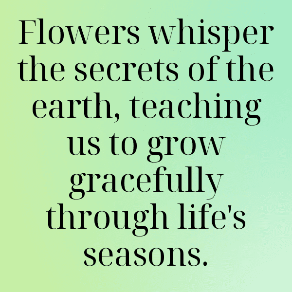 220+ Zinnia Captions For Instagram (Fresh & Trendy) 5 Zinnia Captions Image For Instagram-NdIubL