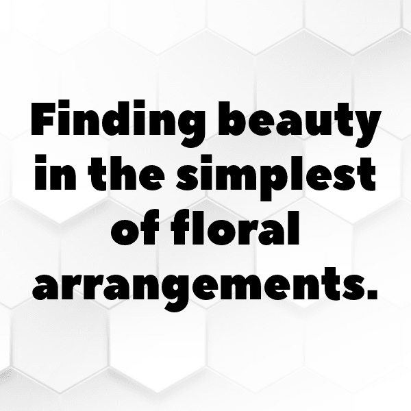 220+ Zinnia Captions For Instagram (Fresh & Trendy) 3 Zinnia Captions Image For Instagram-pGHHZL