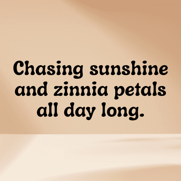 220+ Zinnia Captions For Instagram (Fresh & Trendy) 9 Zinnia Captions Image For Instagram-WAYesr