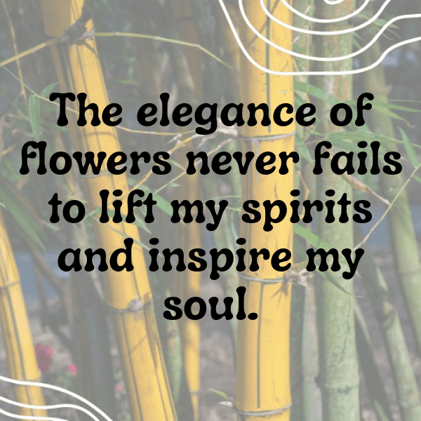 220+ Zinnia Captions For Instagram (Fresh & Trendy) 6 Zinnia Captions Image For Instagram-wRV3E6