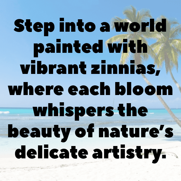 220+ Zinnia Captions For Instagram (Fresh & Trendy) 13 Zinnia Captions Photo For Instagram-r879oN