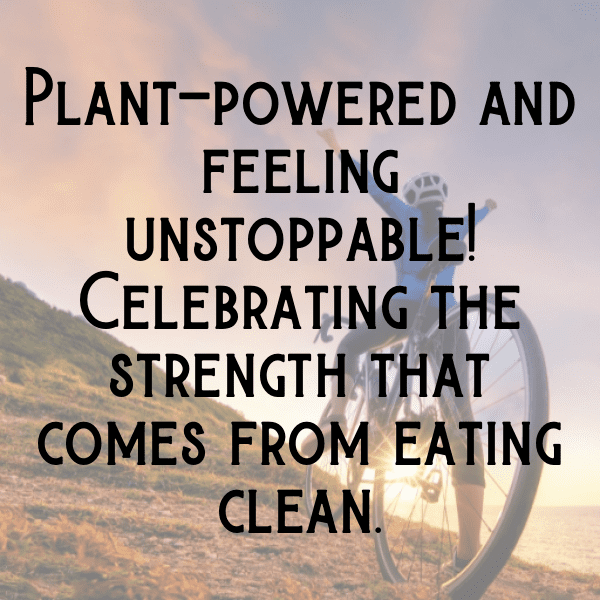 249+ Zucchini Captions For Instagram (Fresh & Trendy) 11 Zucchini Captions Image For Instagram-eol3yF