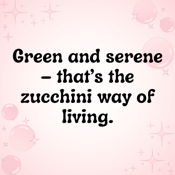 249+ Zucchini Captions For Instagram (Fresh & Trendy) 15 Zucchini Captions Image For Instagram-OV3VHn